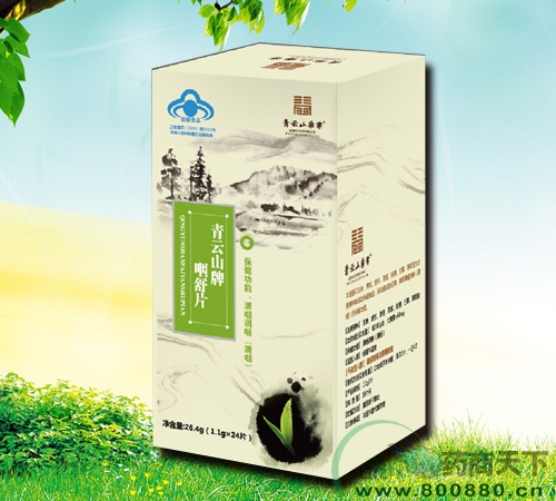 ����Ƭ����|˵����