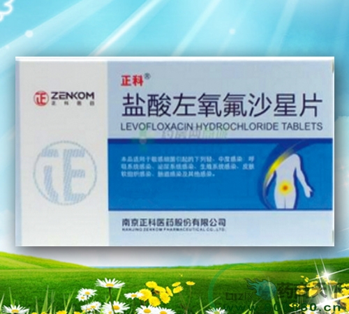 ����������ɳ��Ƭ