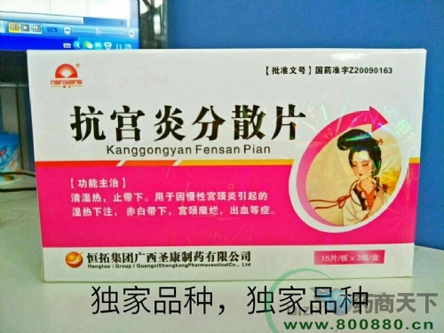 �����׷�ɢƬ����|˵����