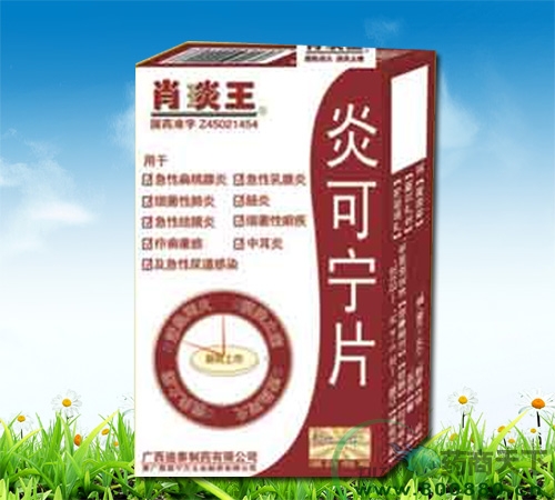 �׿���Ƭ����|˵����