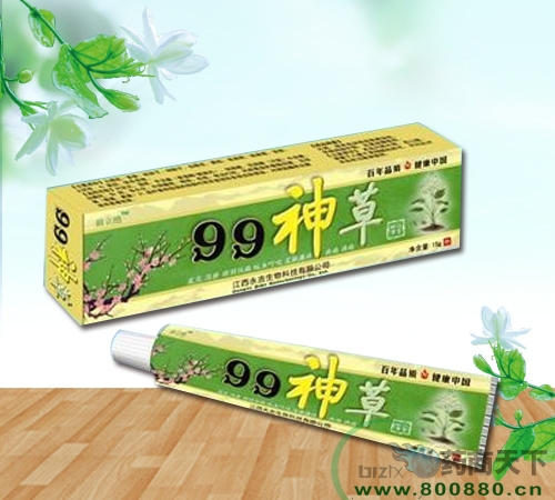 99���Ѣ���������|˵����
