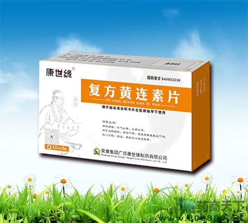 ����������Ƭ����|˵����