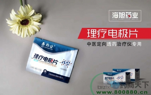 ��ҩ�����Ƶ缫Ƭ����|˵����
