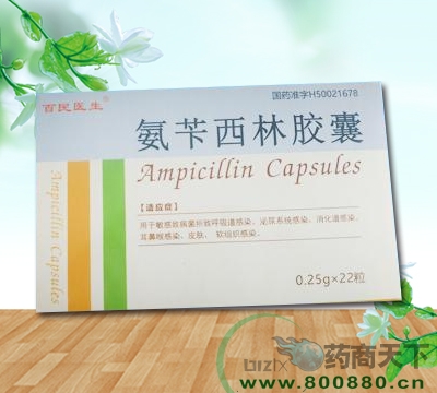 �������ֽ���