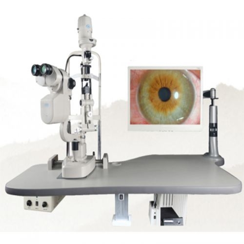 �������� �ۿ���϶����΢��