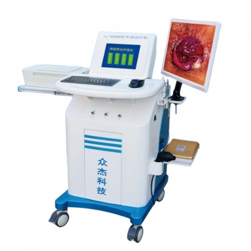 �ڽ� �͸س������� ZJ5000B����