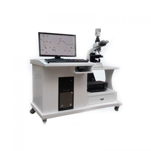 ���� ���������������� B1-101