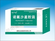 ˾���� ŵ��ɳ�ǽ���