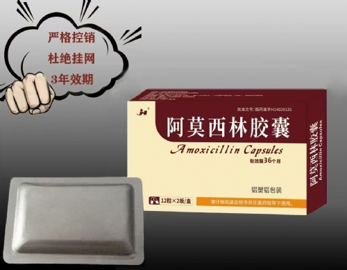 ��Ī���ֽ�������|˵����