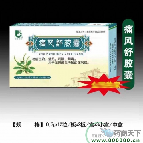 ʹ���潺������