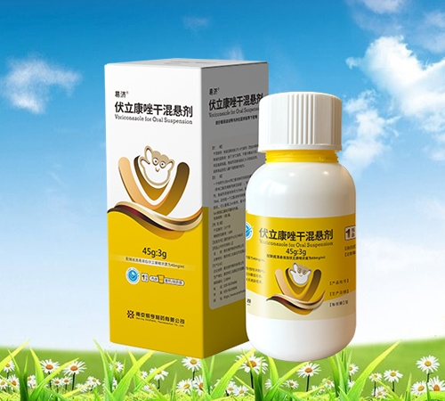 �׼� ***�ɻ�����