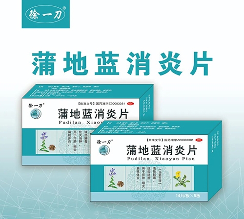 ������ʡ�ʻ�ҽҩ���޹�˾-��һ�� �ѵ�������Ƭ