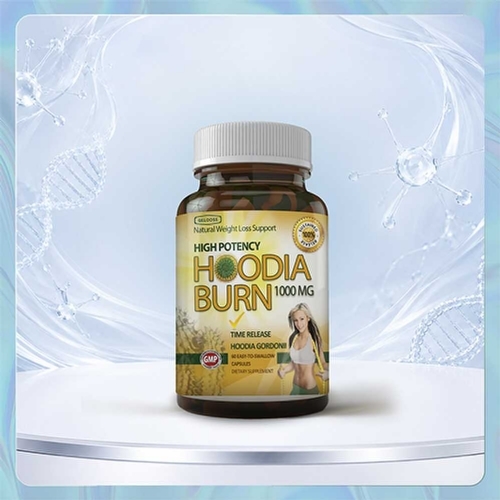HOODIA BURN �������� �Ĵ�����Դͷ����OEM���ƴ�������
