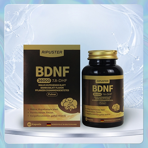 ԭװ����BDNF����Ҷ��Ҷ��ֲͪ�︴�Ϸۿɴ��������BDNF