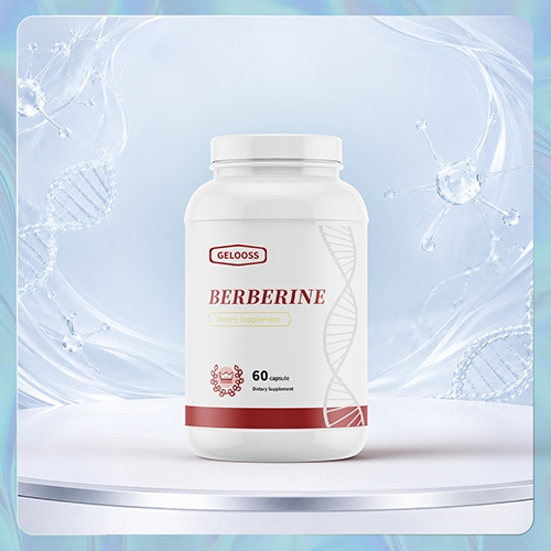 ������С�޼�BERBERINE������Ѫ֬���������ҽ��ҰĴ����Ǵ���