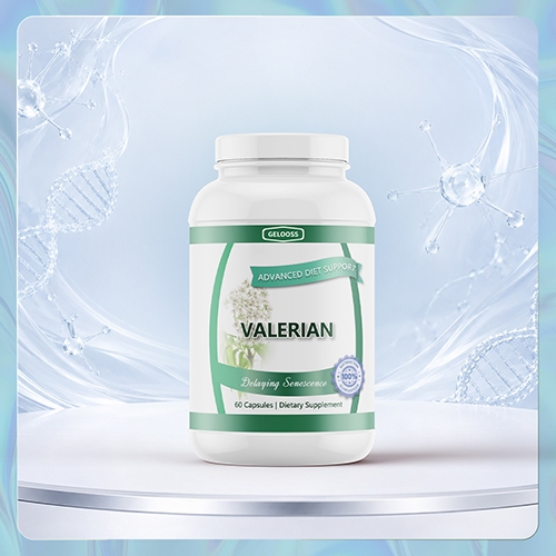 ���Ԫ��������ҽҩ�Ƽ����޹�˾-�Ӳݽ���VALERIAN-ROOT�����Ĵ�����Դͷ����OEM���ƴ���������Ů