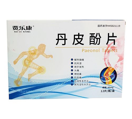 �人ͬ��ïԴҽҩ���޹�˾-���ֿ� ��Ƥ��Ƭ